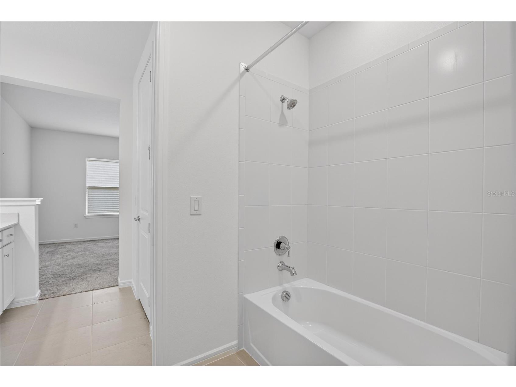 13079 Willow Grove Drive Riverview FL 33579 TB8486466 image53