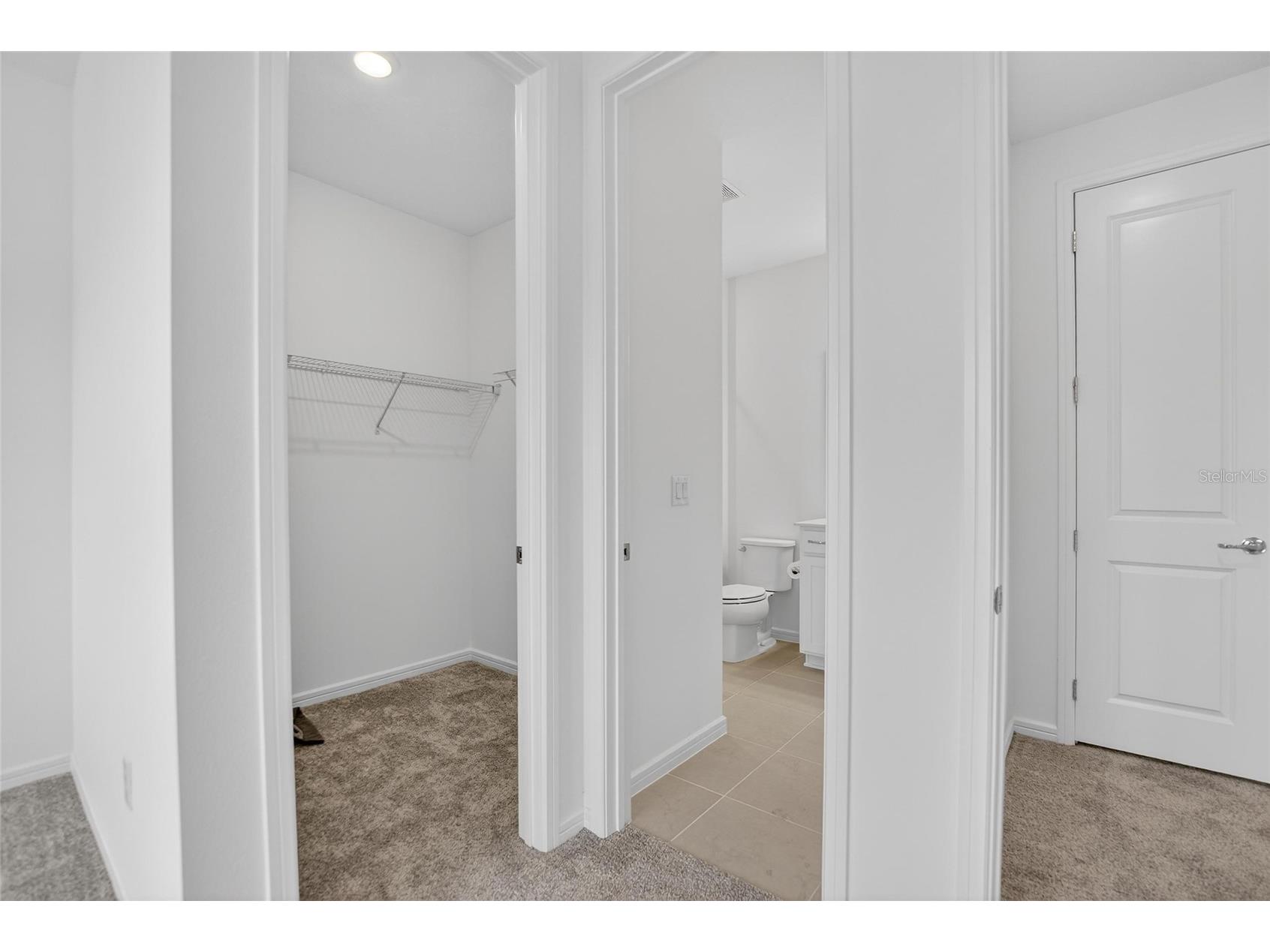 13079 Willow Grove Drive Riverview FL 33579 TB8486466 image61