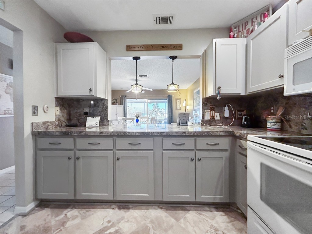 1308 Bluewater Drive Sun City Center FL 33573 TB8451691 image12