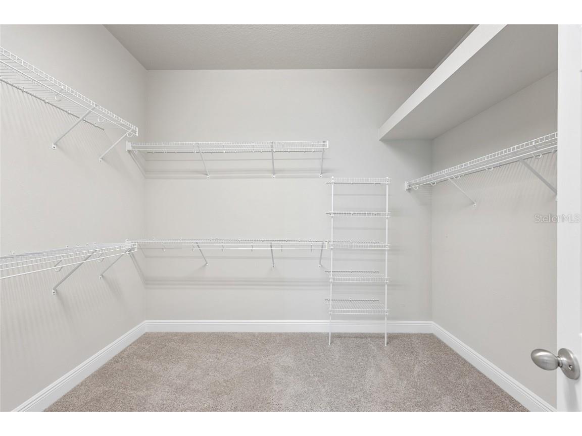 1308 Charleen Street Brandon FL 33511 TB8457006 image24