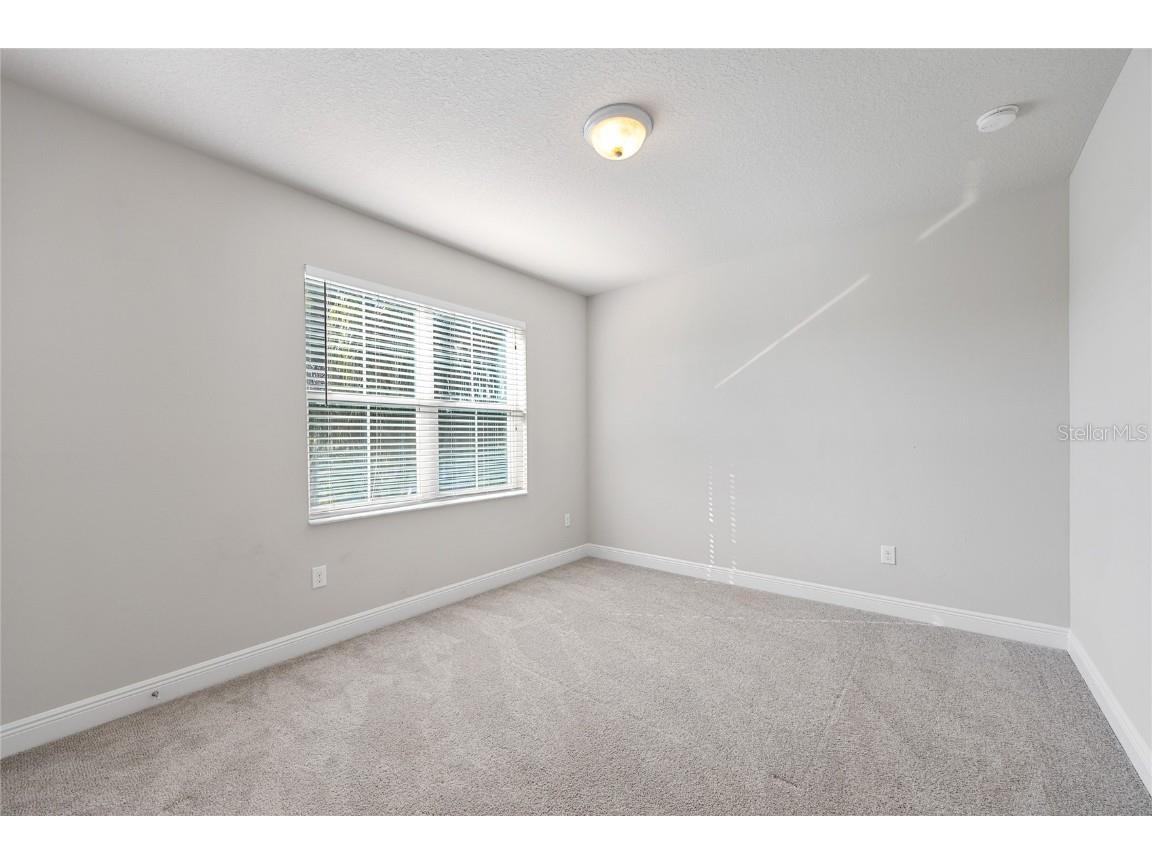 1308 Charleen Street Brandon FL 33511 TB8457006 image38