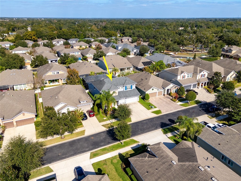 1308 Charleen Street Brandon FL 33511 TB8457006 image46