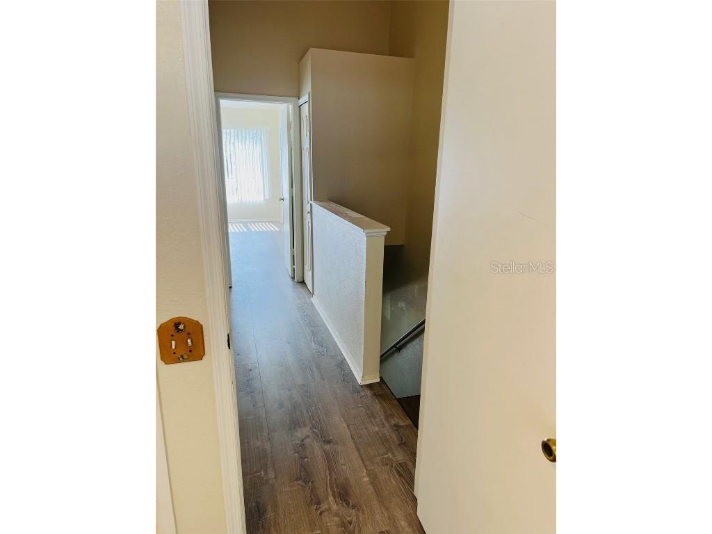 1308 Costa Mesa Drive Drive Wesley Chapel FL 33543 TB8440479 image15