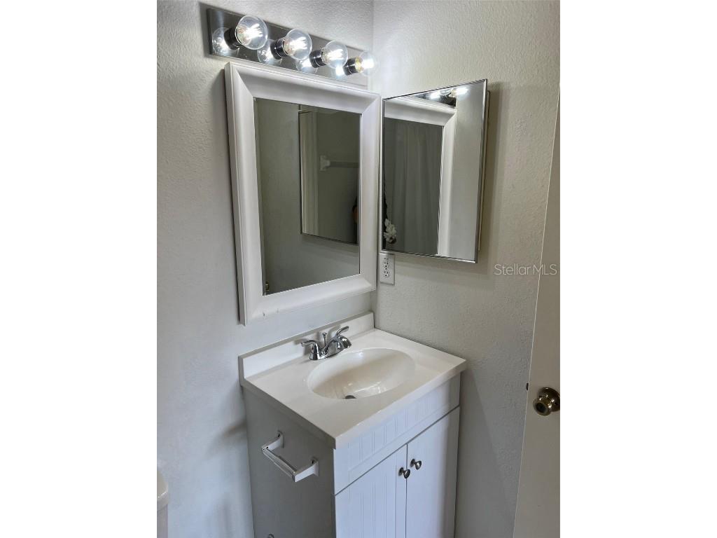 1308 Costa Mesa Drive Drive Wesley Chapel FL 33543 TB8440479 image19