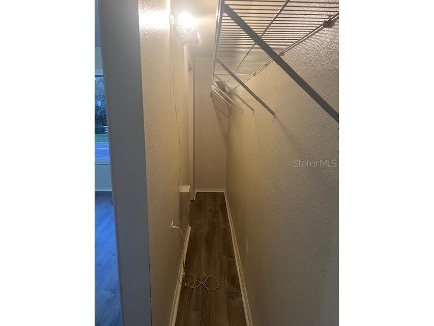 1308 Costa Mesa Drive Drive Wesley Chapel FL 33543 TB8440479 image21