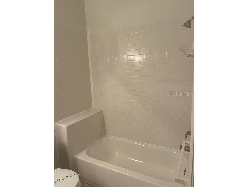 1308 Costa Mesa Drive Drive Wesley Chapel FL 33543 TB8440479 image23