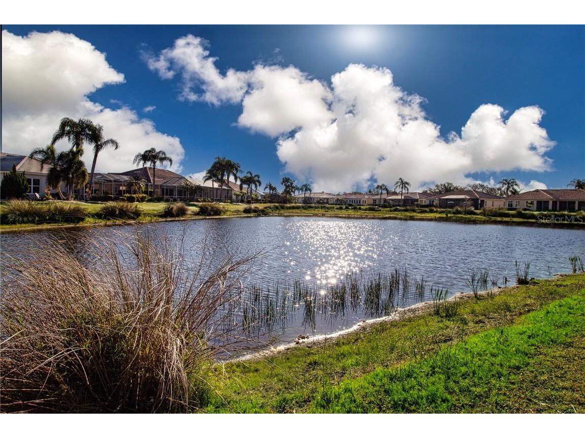 1308 Crystal Greens Drive Sun City Center FL 33573 TB8362278 image5