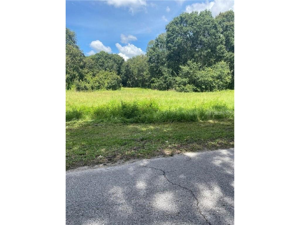 1308 E Alsobrook Street Plant City FL 33566 T3411846 image1