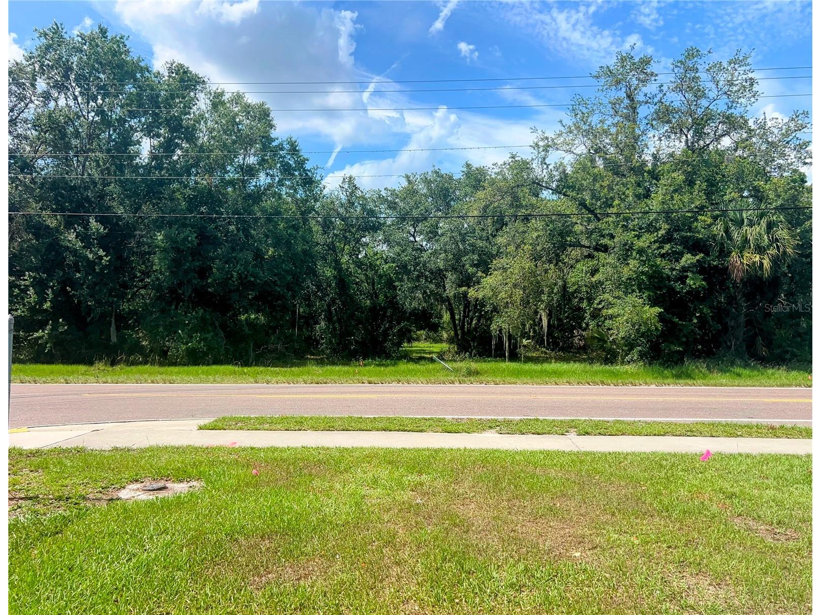 1308 E Alsobrook Street Plant City FL 33563 A4654645 image1