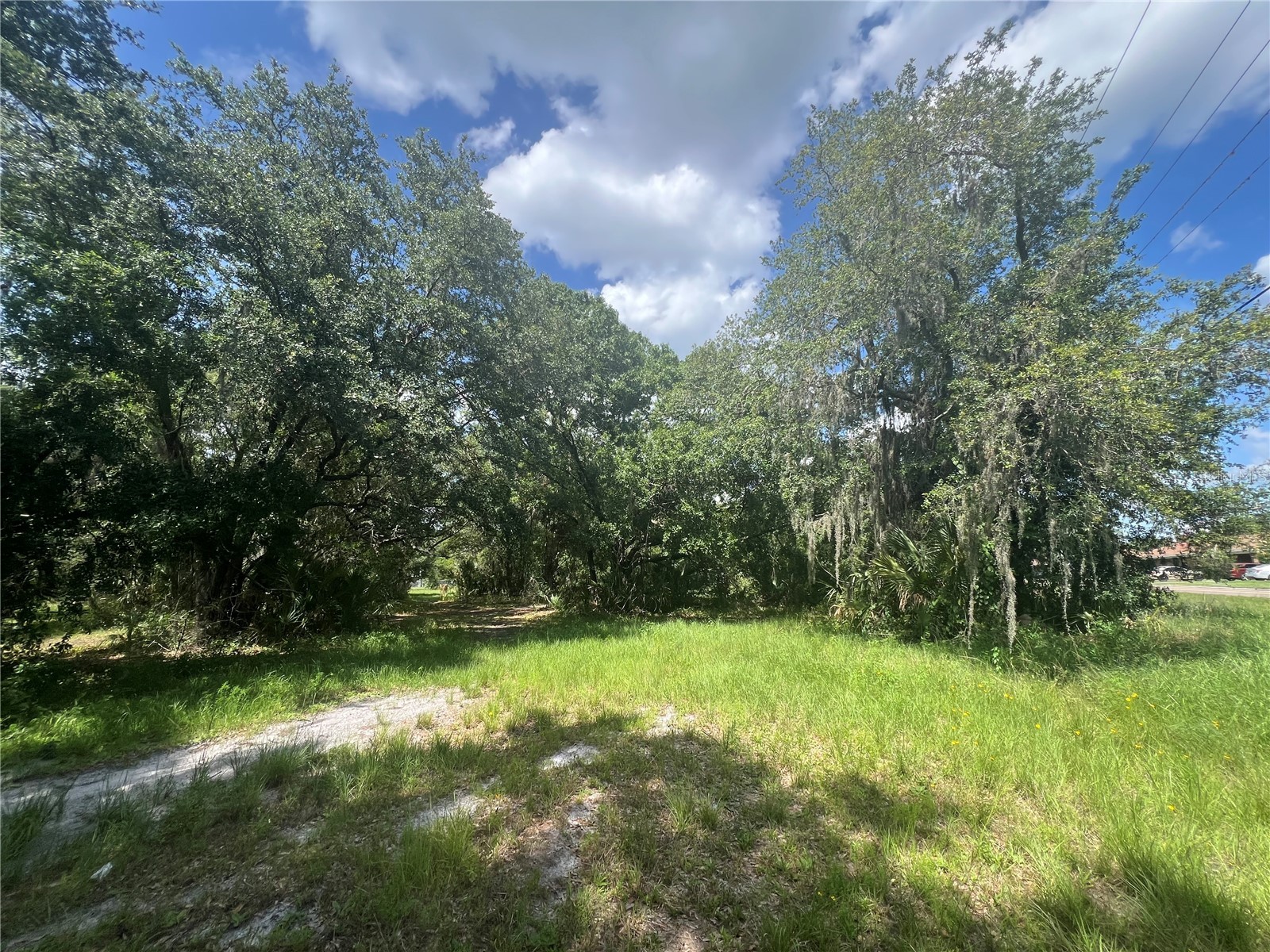 1308 E Alsobrook Street Plant City FL 33563 A4654645 image10