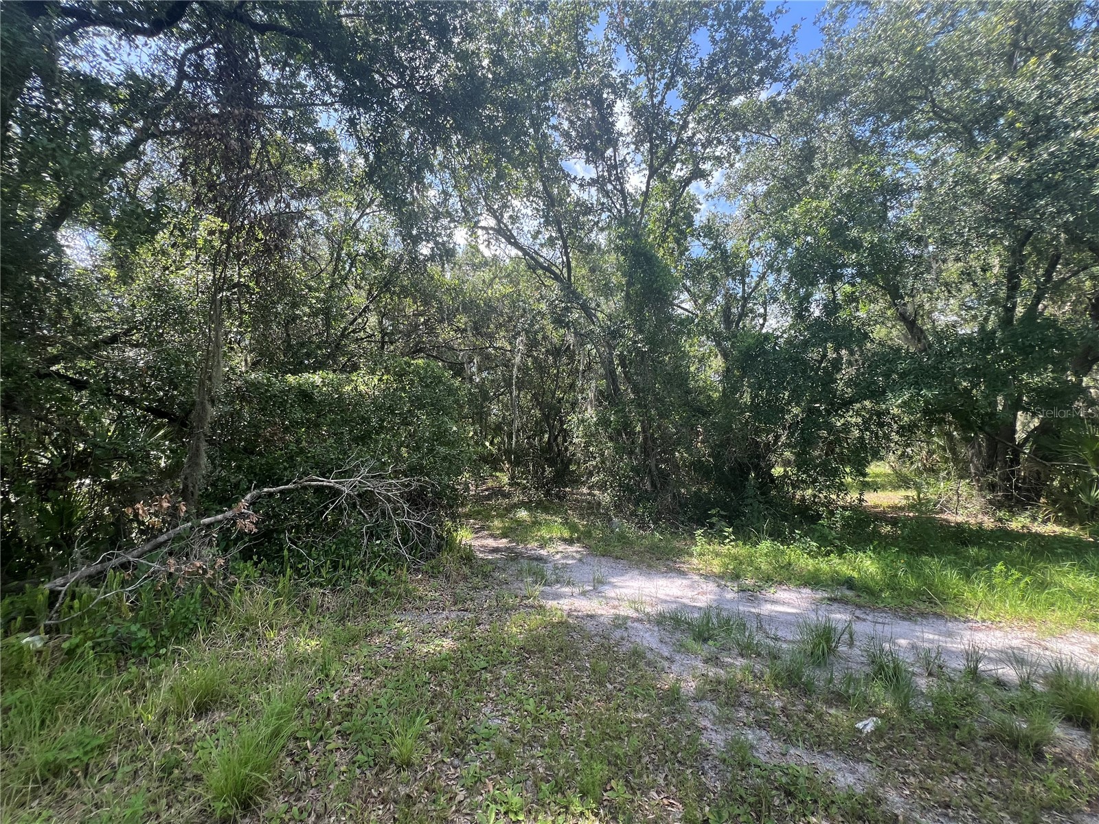 1308 E Alsobrook Street Plant City FL 33563 A4654645 image11