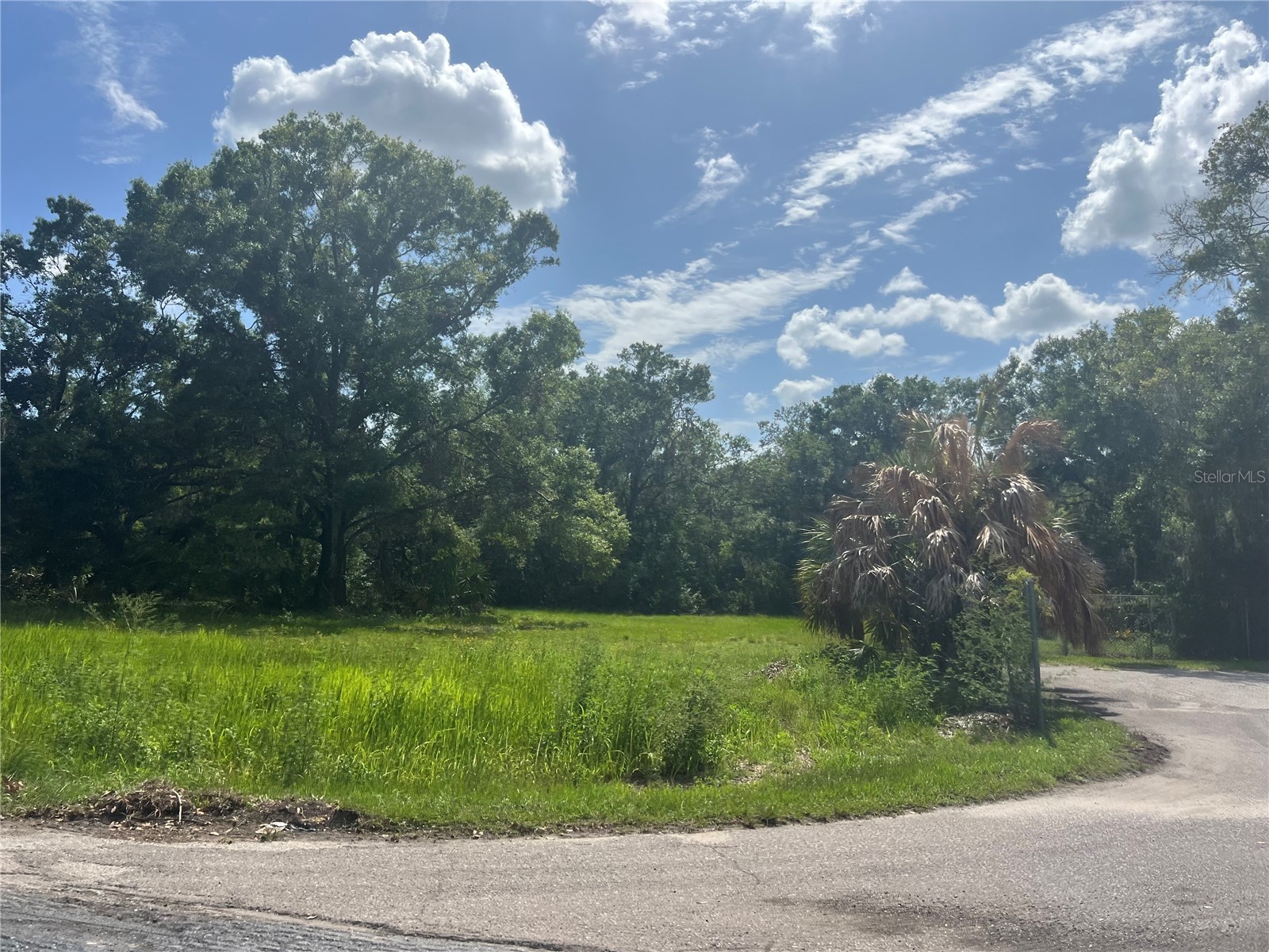 1308 E Alsobrook Street Plant City FL 33563 A4654645 image14