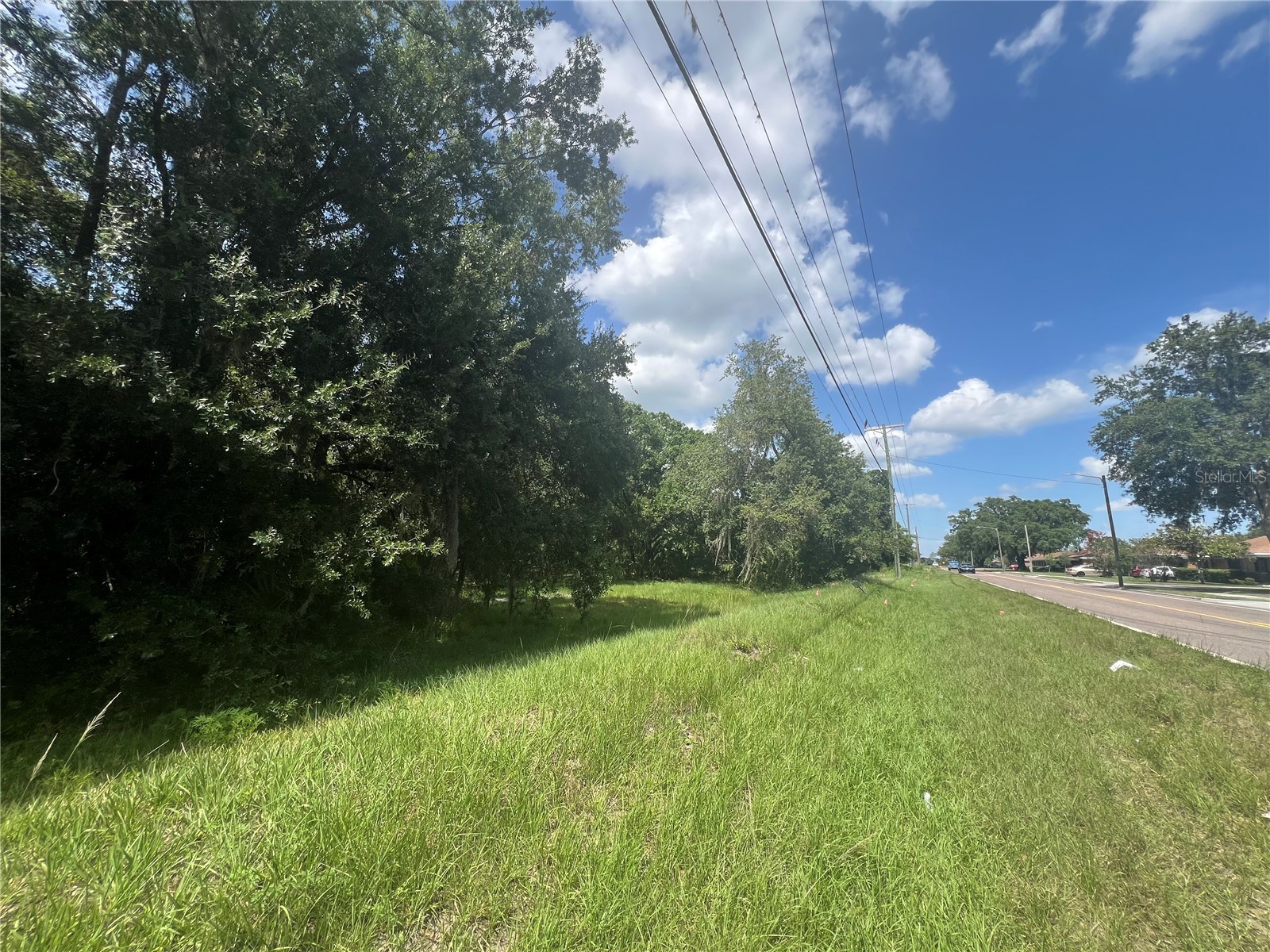 1308 E Alsobrook Street Plant City FL 33563 A4654645 image4