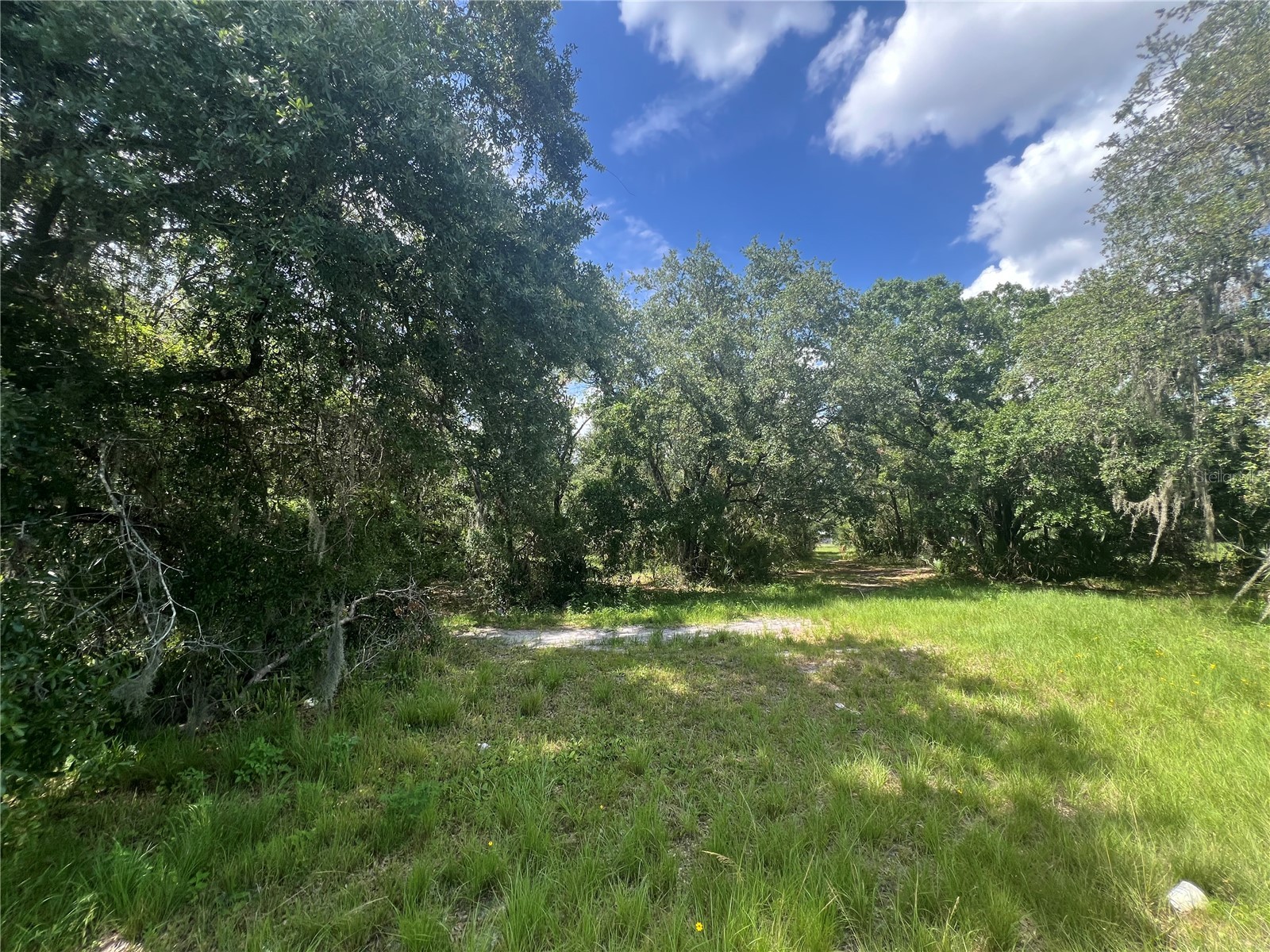 1308 E Alsobrook Street Plant City FL 33563 A4654645 image9