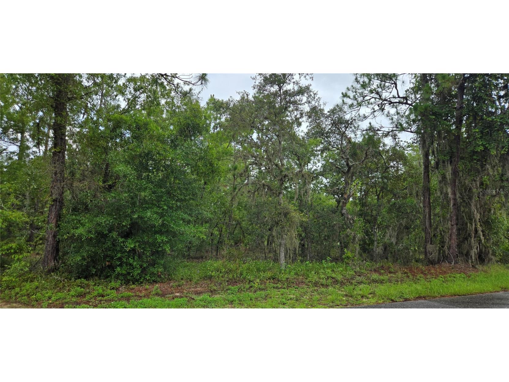 1308 N Prospect Avenue Lecanto FL 34461 W7877084 image1