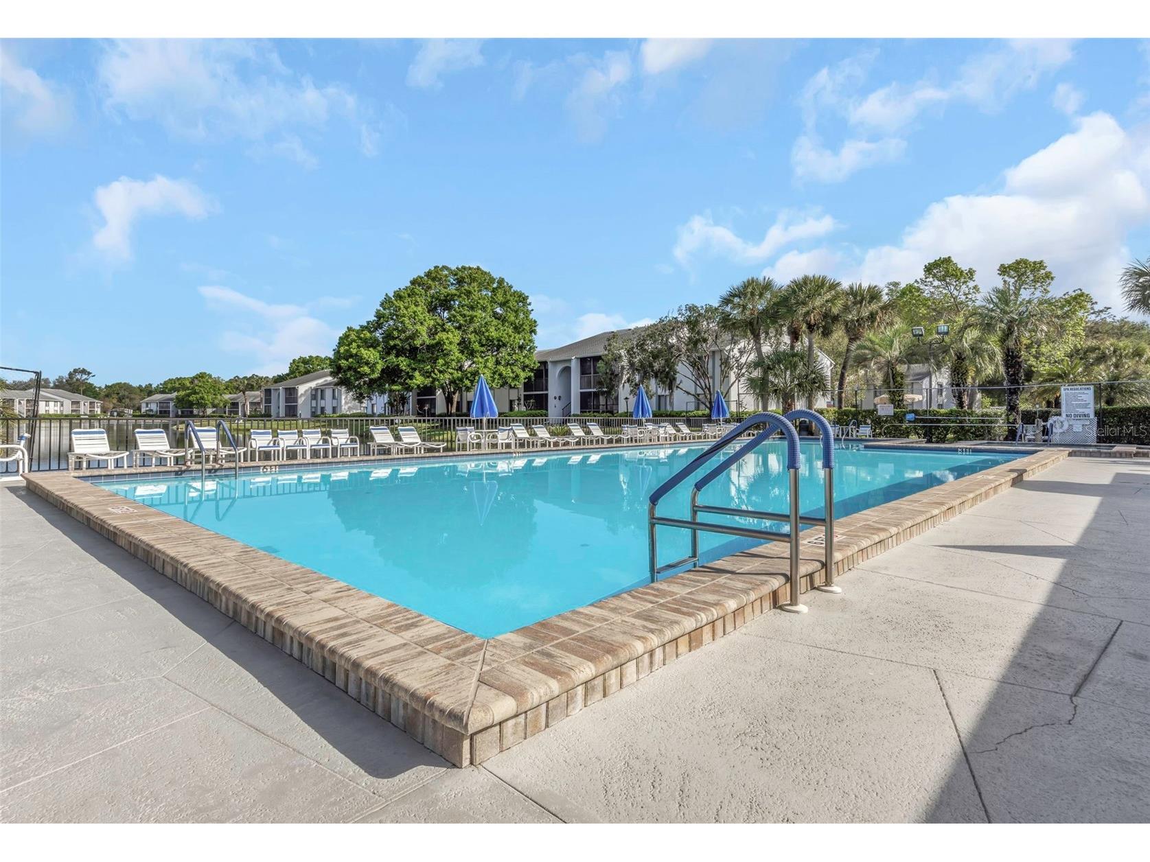 1308 Pine Ridge Circle E #H1 Tarpon Springs FL 34688 TB8494047 image45