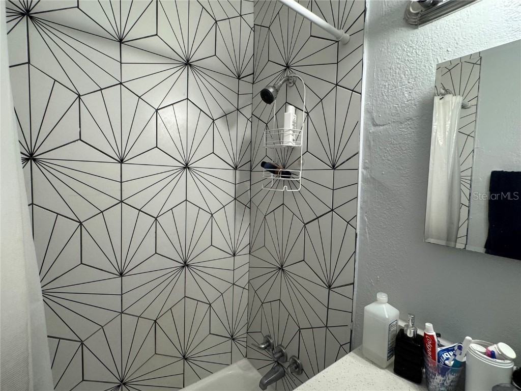 1308 Tuscola Street Clearwater FL 33756 TB8446388 image26