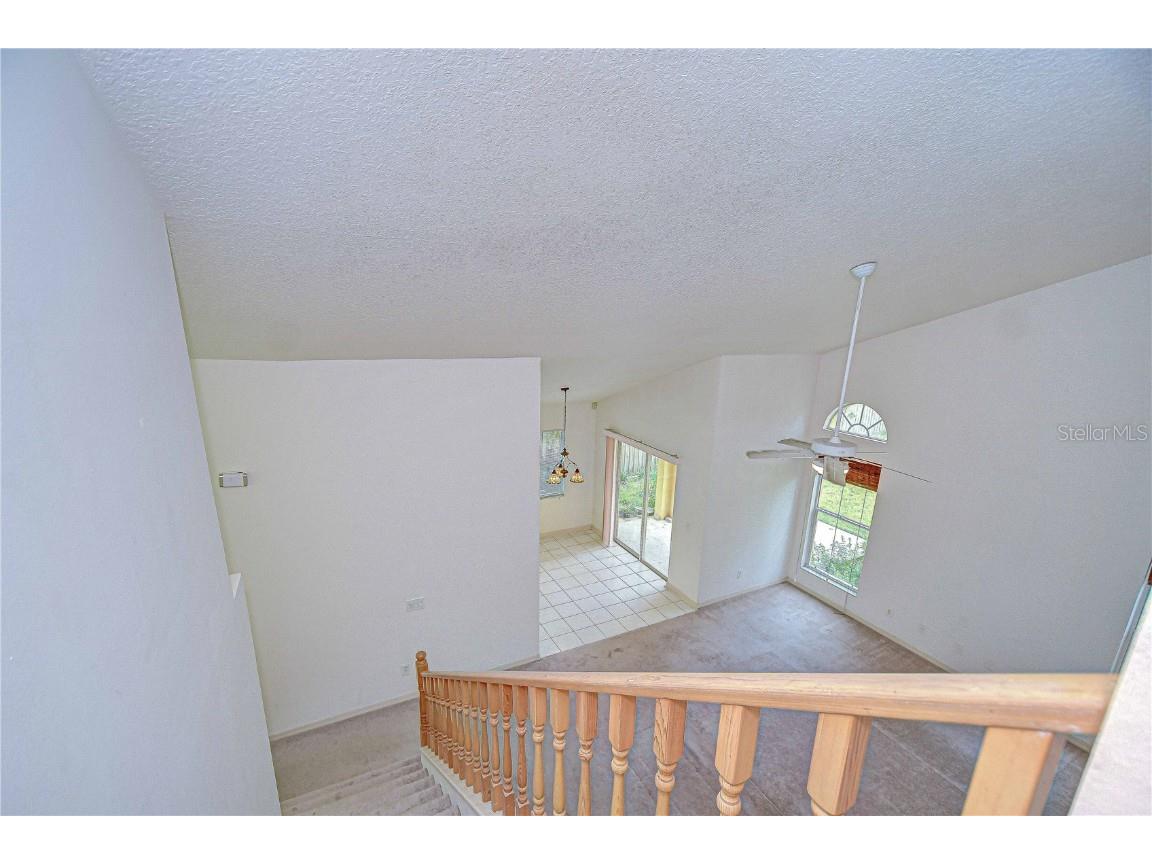 1308 W Carissa Court Tampa FL 33604 TB8426448 image17