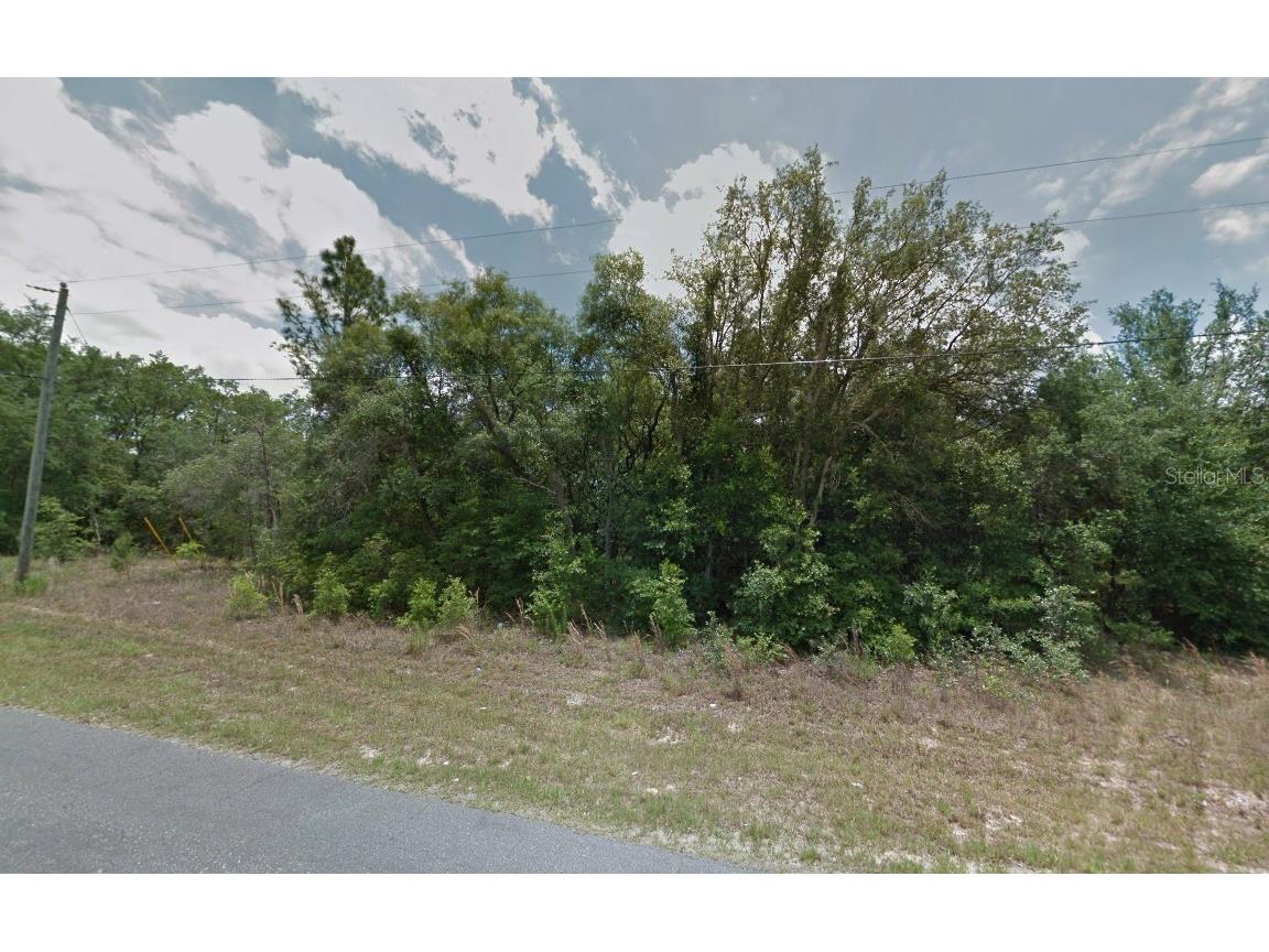 1308 W Lorraine Drive Citrus Springs FL 34434 O6186666 image1