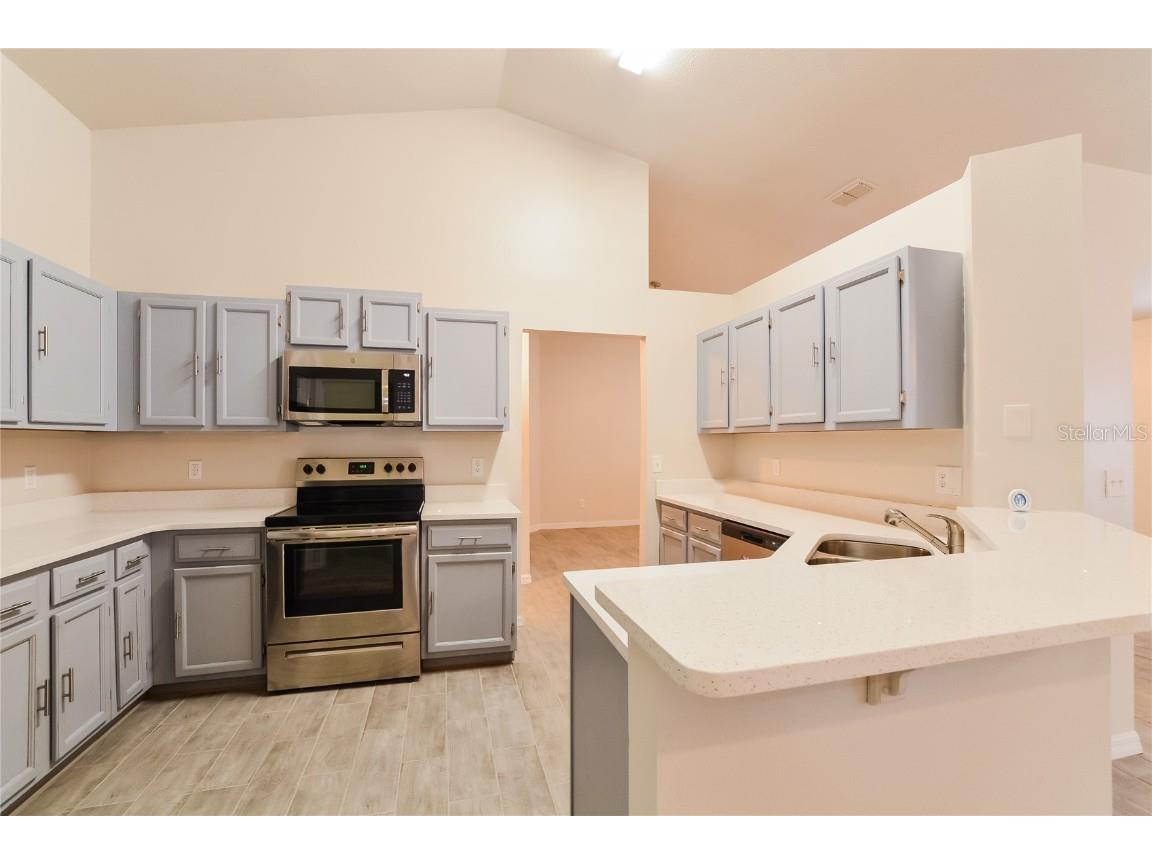 1308 Whitewood Way Clermont FL 34714 O6360019 image3