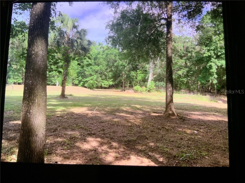 13080 NW 168th Place Reddick FL 32686 OM713151 image3
