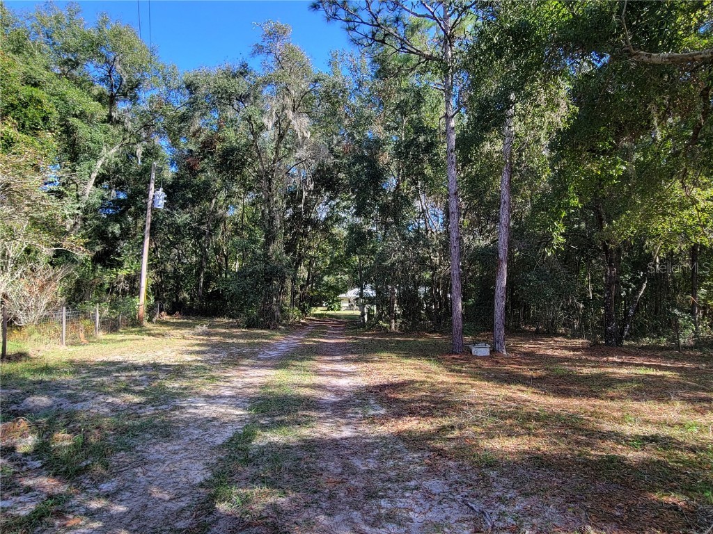 13080 Old Crystal River Road Brooksville FL 34601 W7869630 image3