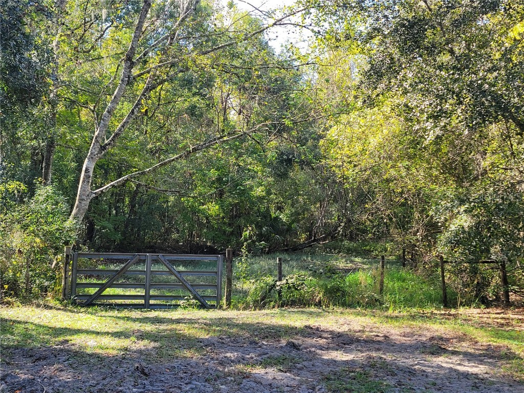 13080 Old Crystal River Road Brooksville FL 34601 W7869630 image62