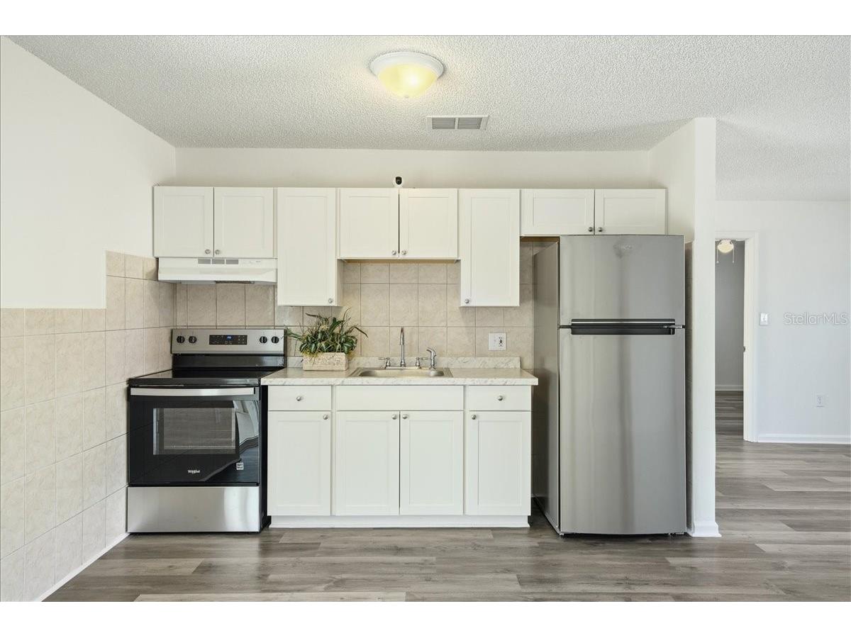 13082 Lola Drive Spring Hill FL 34609 W7881699 image5