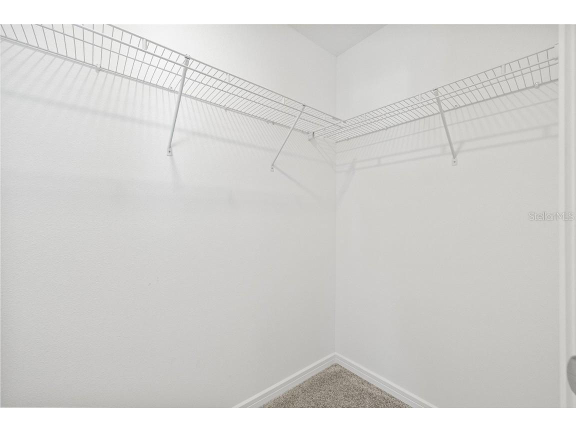 13082 Stillmont Place Tampa FL 33624 TB8431803 image26