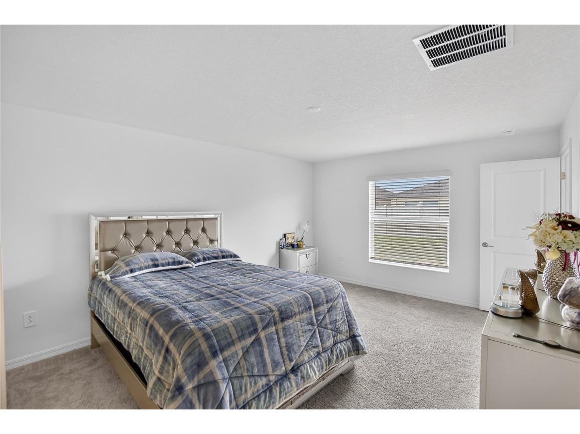 13084 Garnet Raspberry Ave Wimauma FL 33598 TB8450940 image10