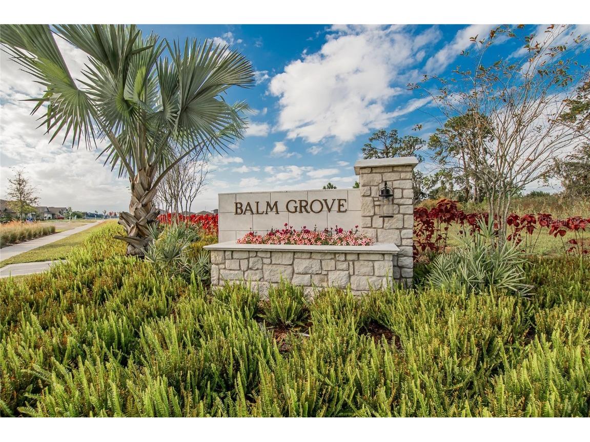 13084 Garnet Raspberry Ave Wimauma FL 33598 TB8450940 image19