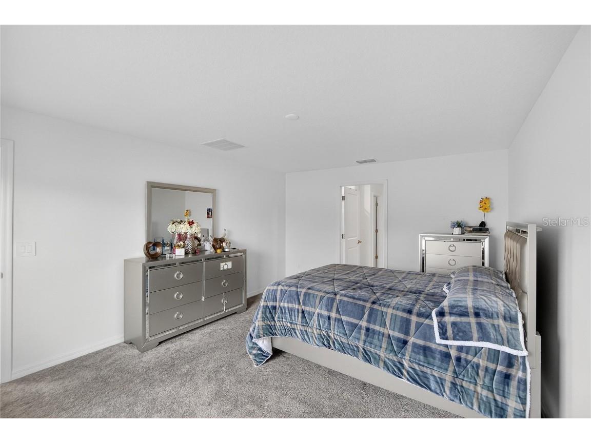 13084 Garnet Raspberry Ave Wimauma FL 33598 TB8450940 image9