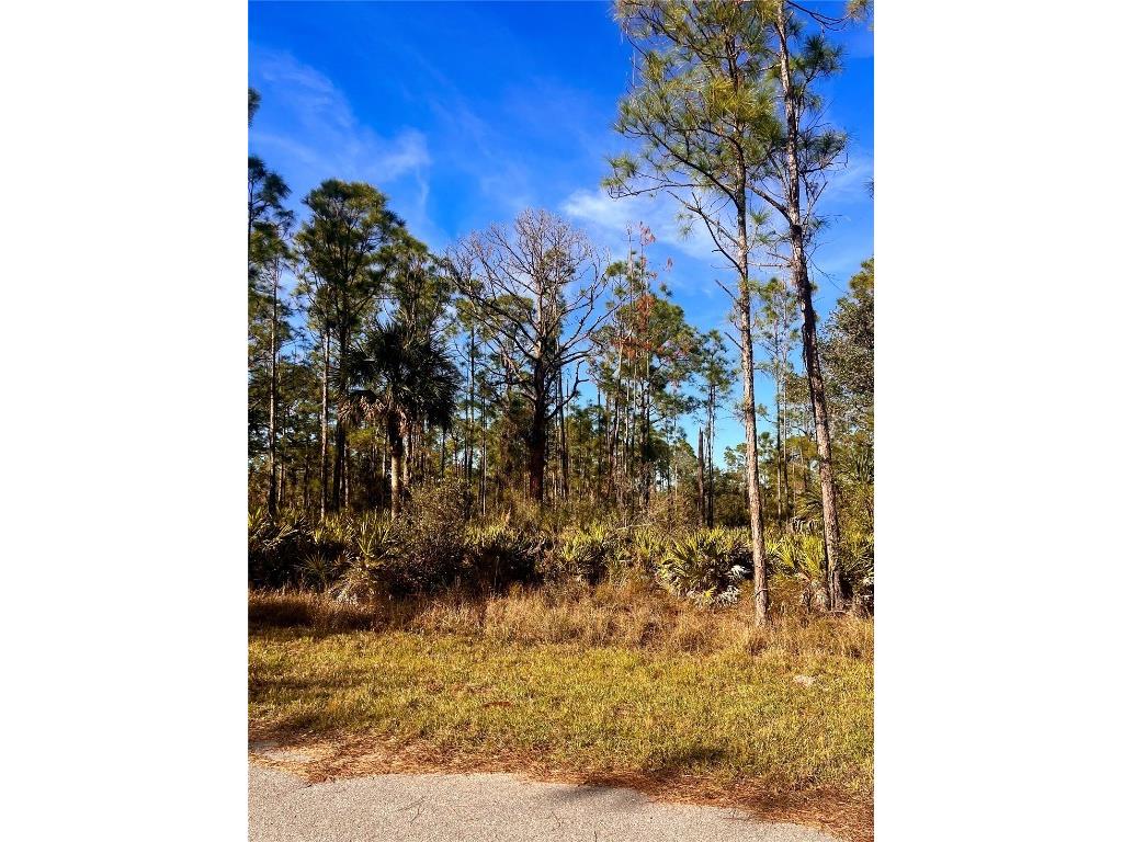 13084 Harbison Avenue Port Charlotte FL 33953 A4634738 image4