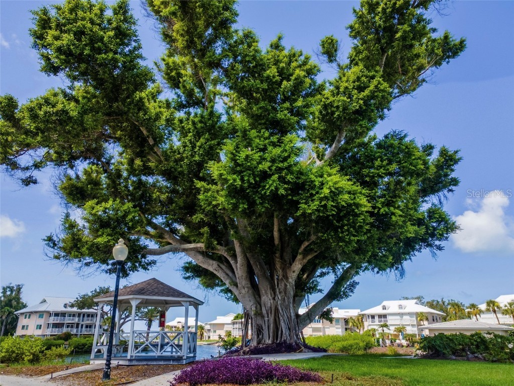 13084 Via Cassia Placida FL 33946 - CORAL CREEK A4659429 image23