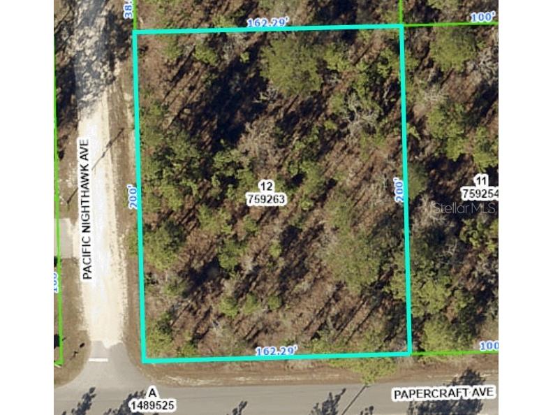 13085 Papercraft Avenue Weeki Wachee FL 34614 W7851577 image1