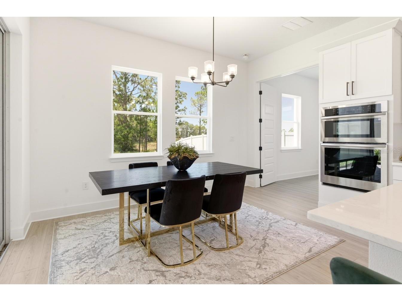 13086 Sunrise Harvest Drive Winter Garden FL 34787 O6415942 image11