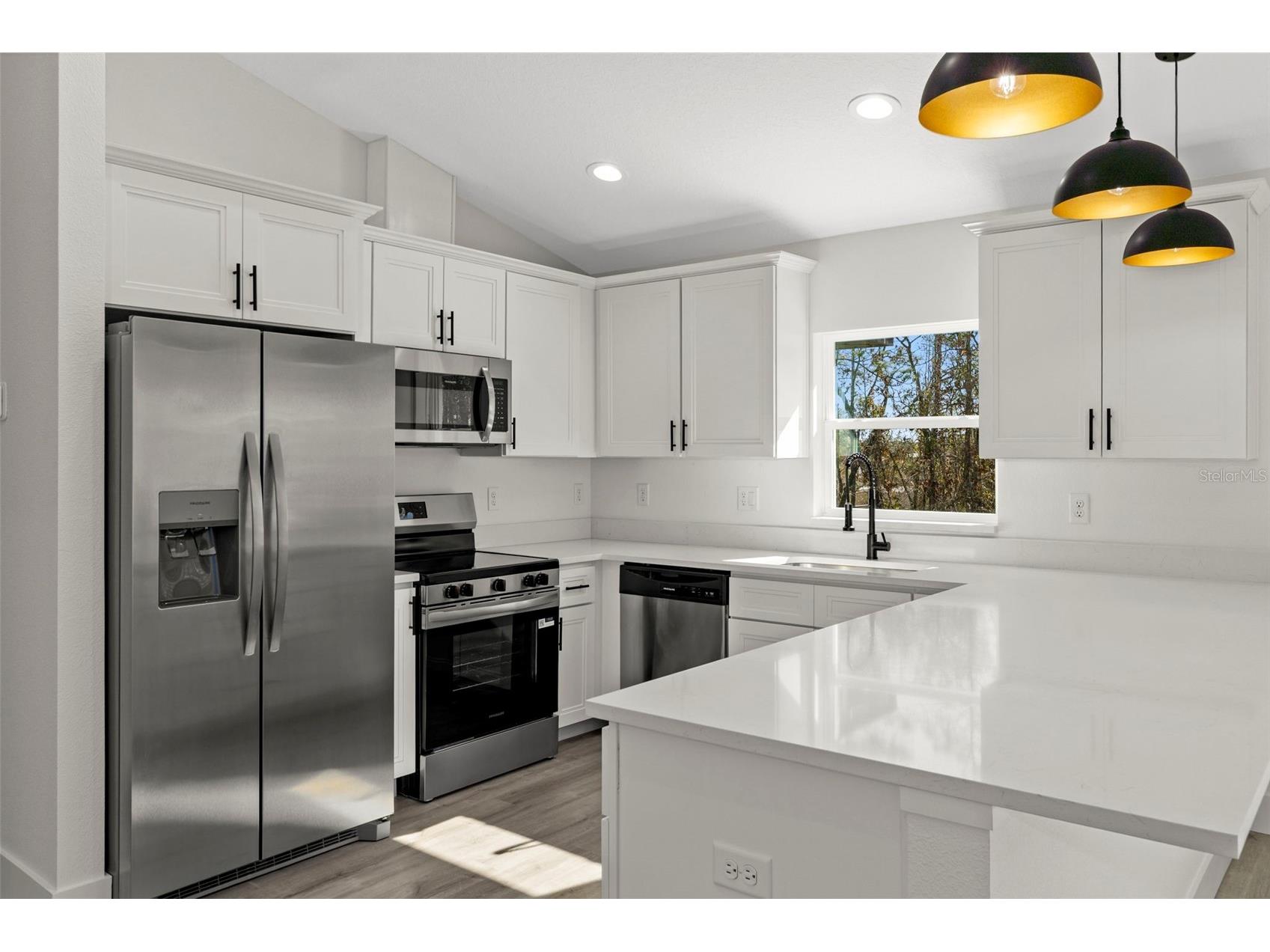 13088 Velvet Scoter Avenue Brooksville FL 34614 W7882012 image10