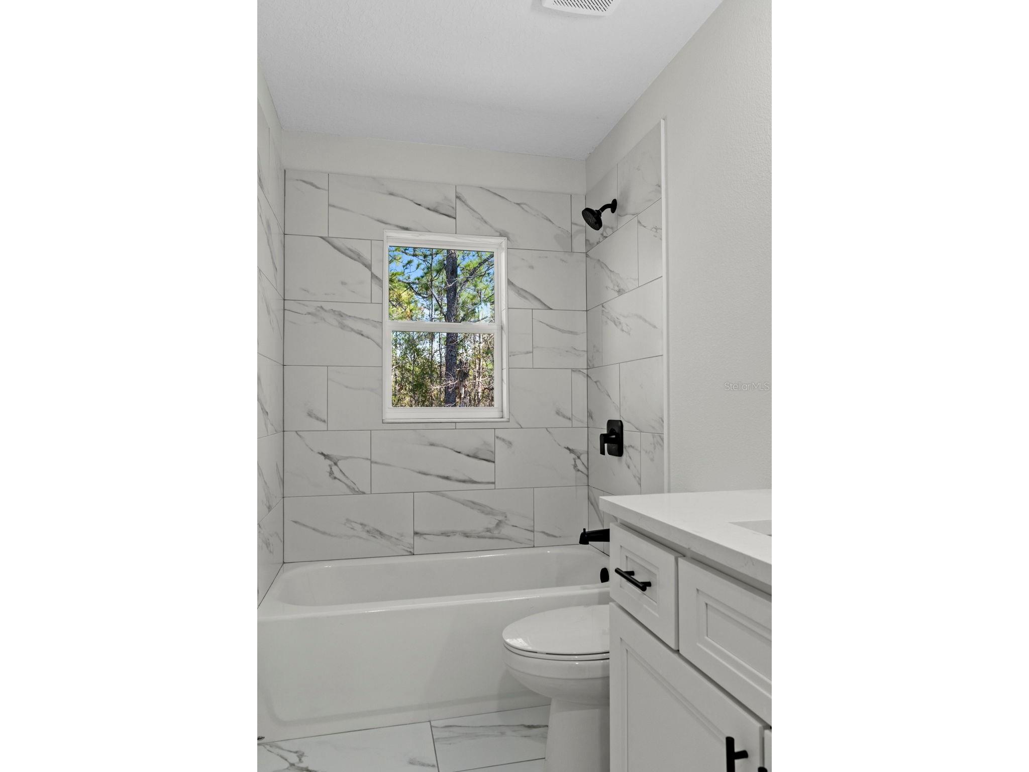 13088 Velvet Scoter Avenue Brooksville FL 34614 W7882012 image23