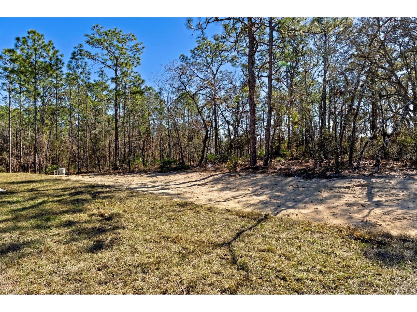 13088 Velvet Scoter Avenue Brooksville FL 34614 W7882012 image40