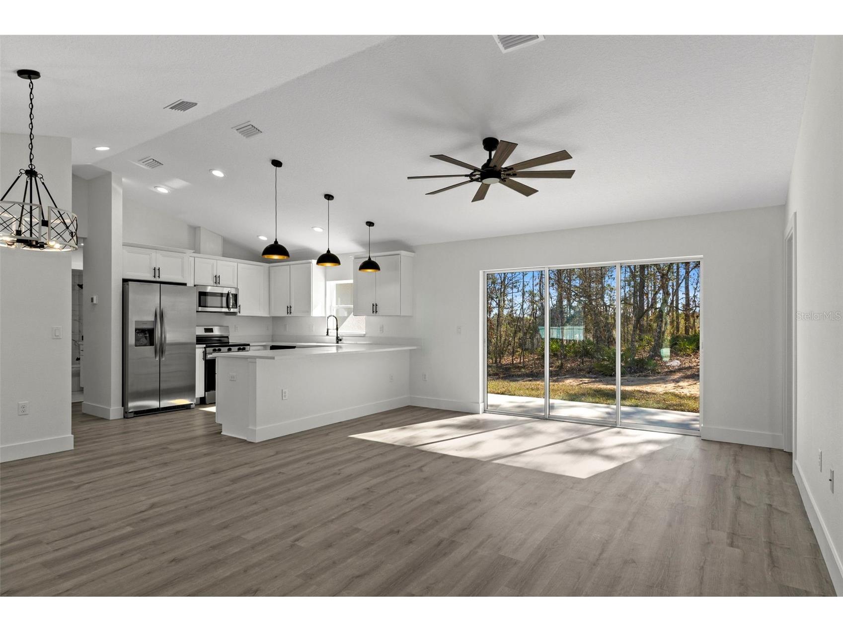 13088 Velvet Scoter Avenue Brooksville FL 34614 W7882012 image6