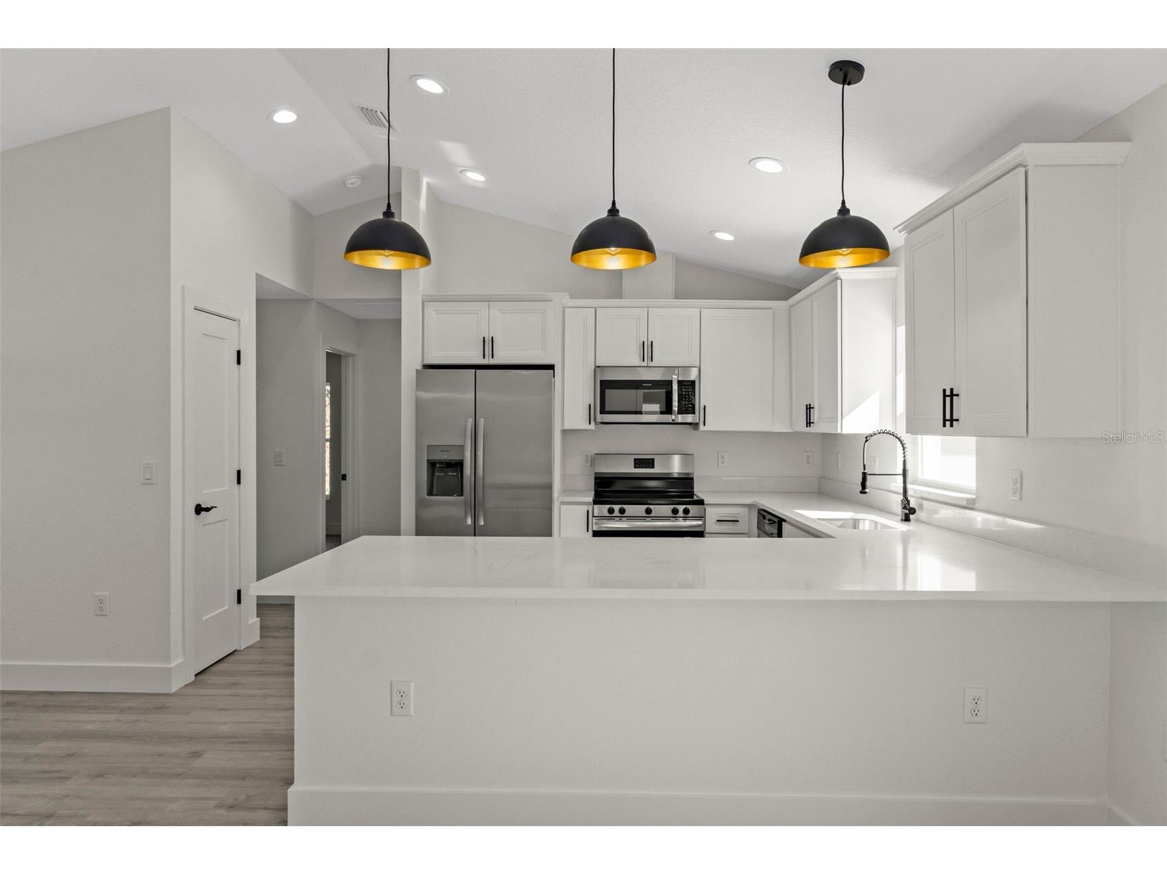 13088 Velvet Scoter Avenue Brooksville FL 34614 W7882012 image9