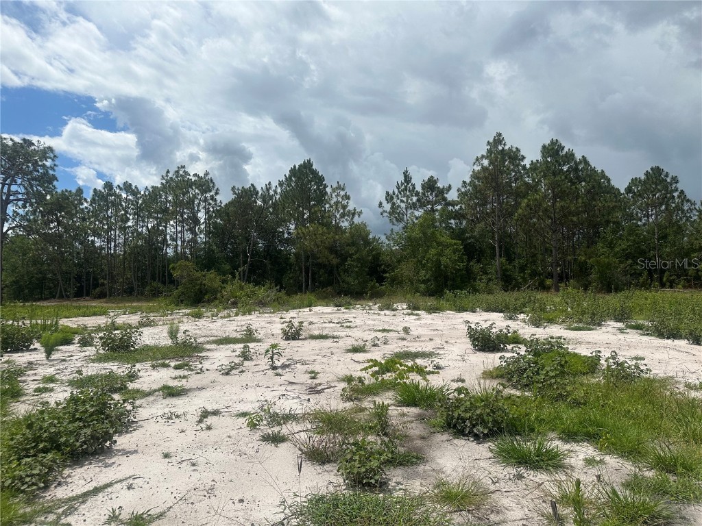 1309 Banbridge Drive Kissimmee FL 34758 S5072979 image1