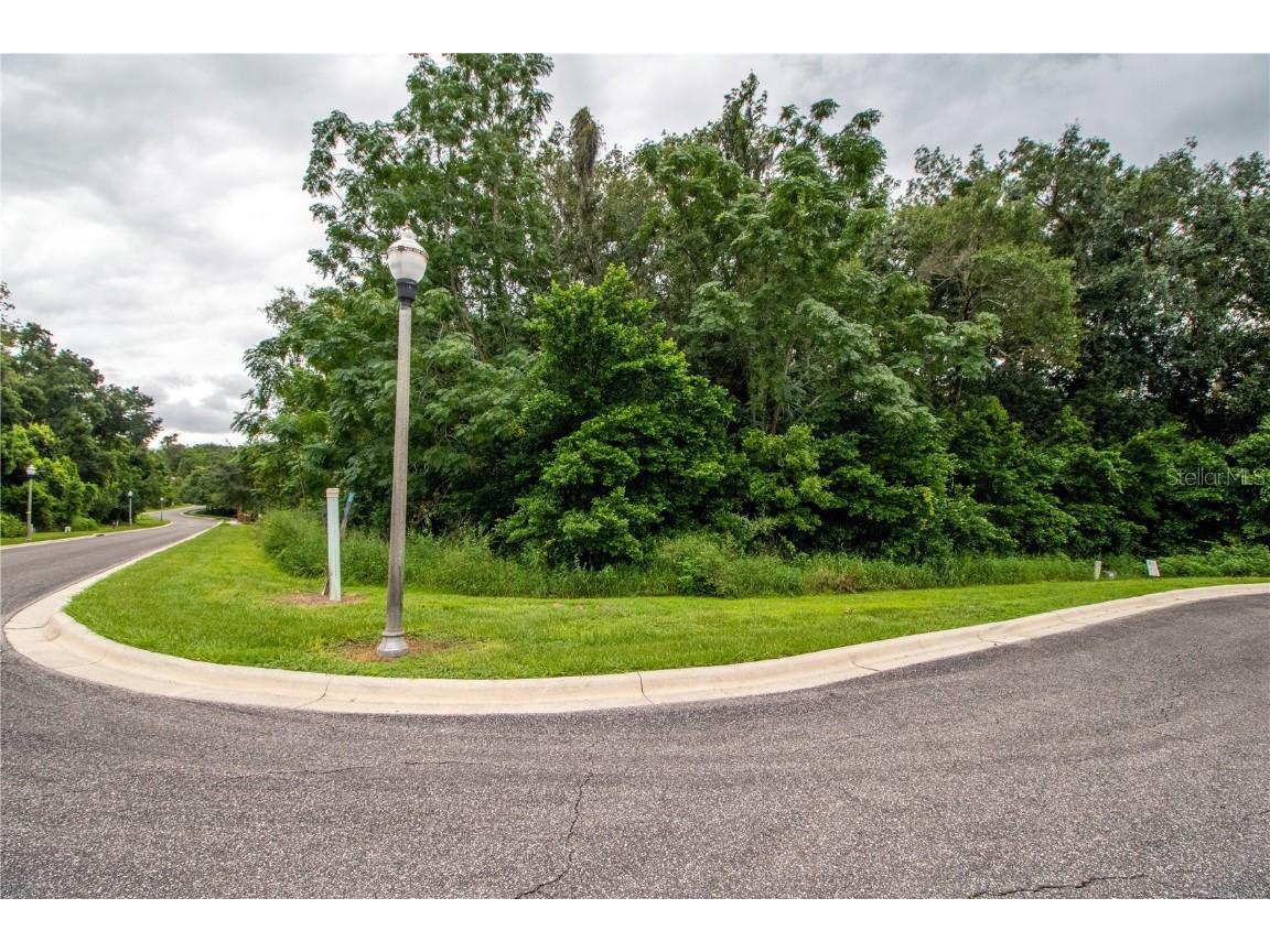 1309 Errol Green Court Apopka FL 32712 O6047008 image1