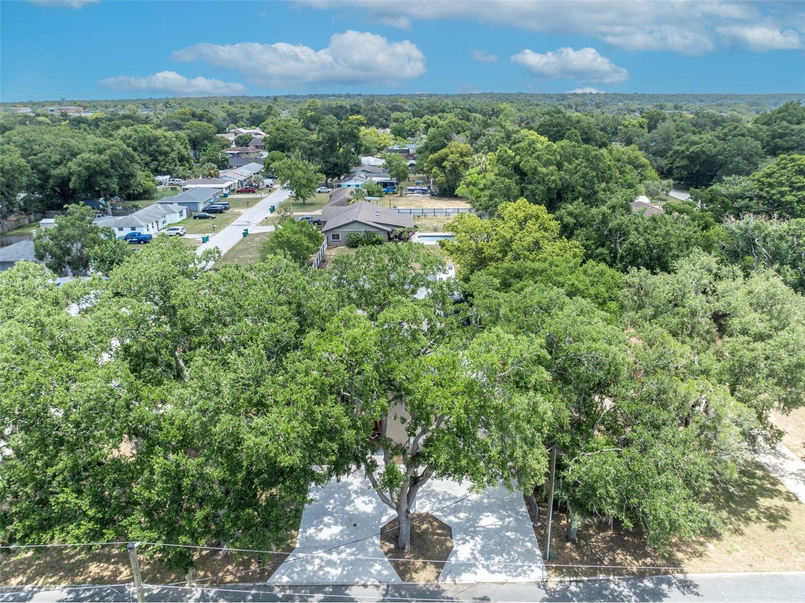 1309 S Center Street Eustis FL 32726 G5111050 image42