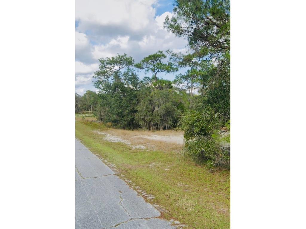 1309 St Augustine Court Poinciana FL 34759 U8192158 image1