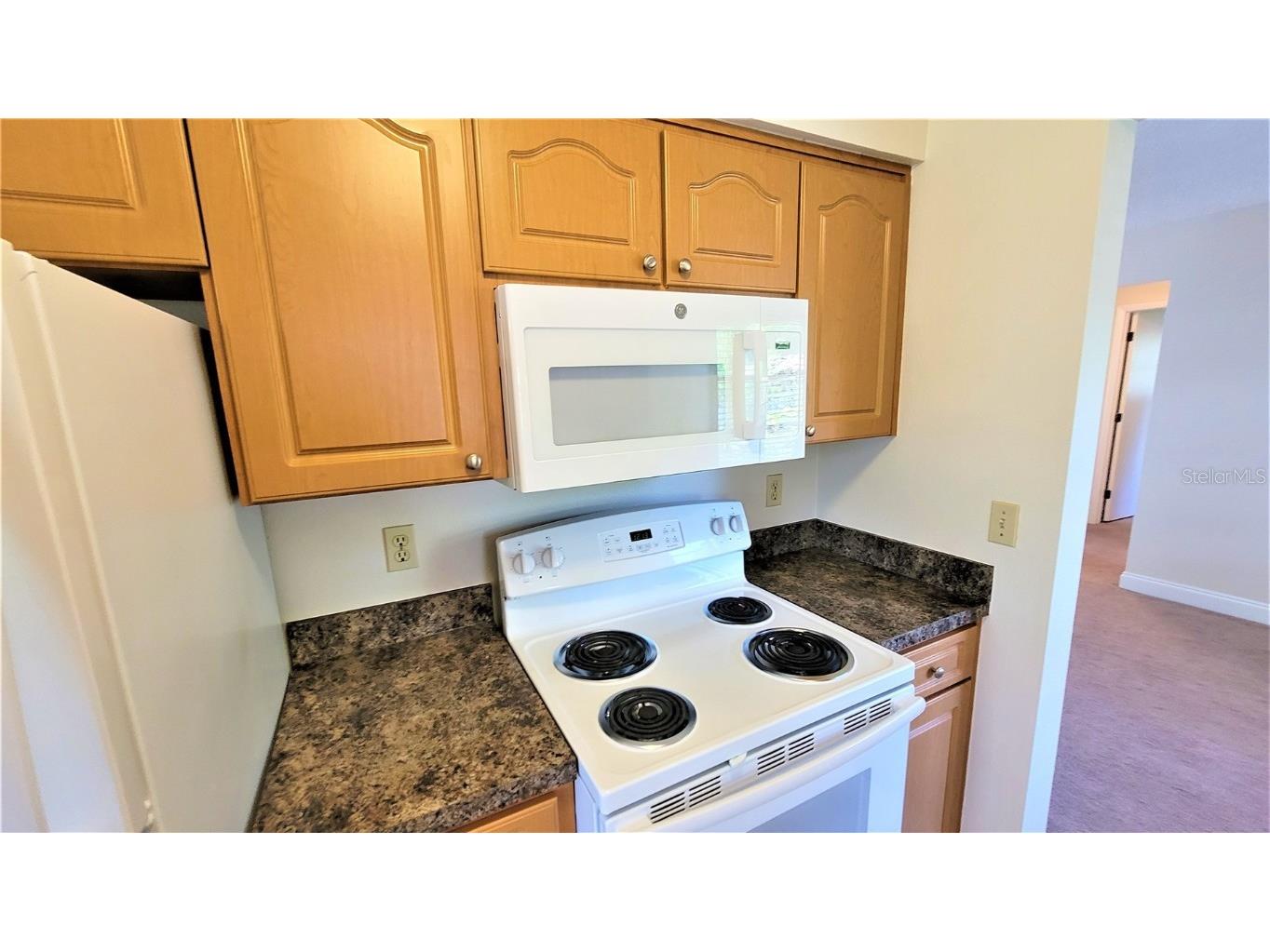 1309 Woodstock Drive Palm Harbor FL 34684 T3444149 image9