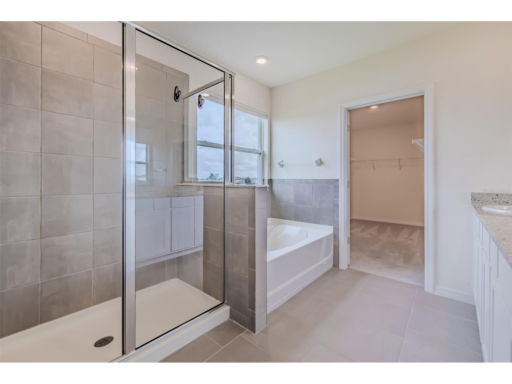 13090 Brookside Moss Drive Riverview FL 33579 TB8515042 image33