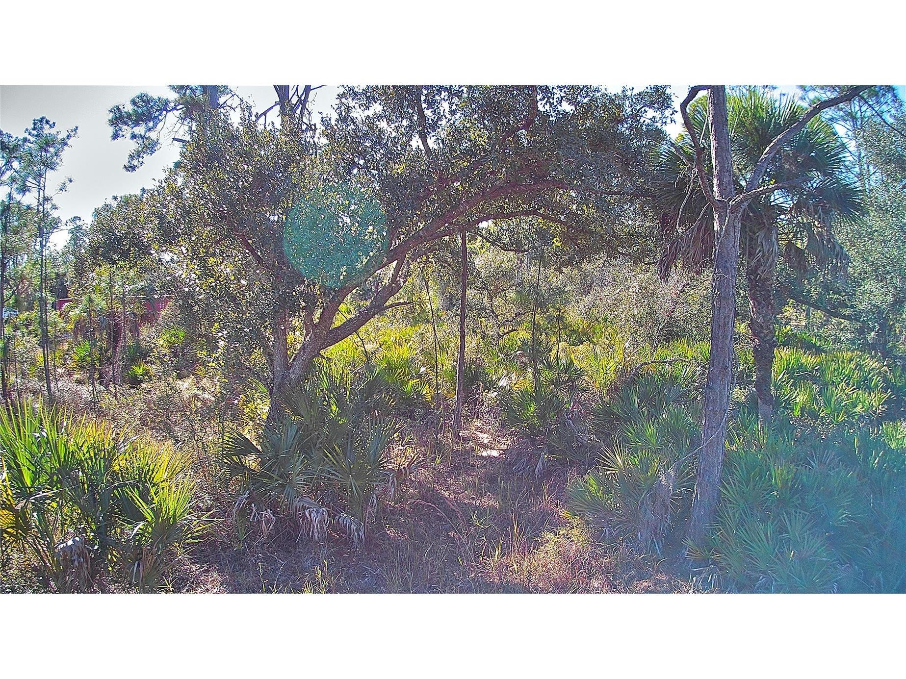 13093 Harbison Avenue Port Charlotte FL 33953 C7520249 image1