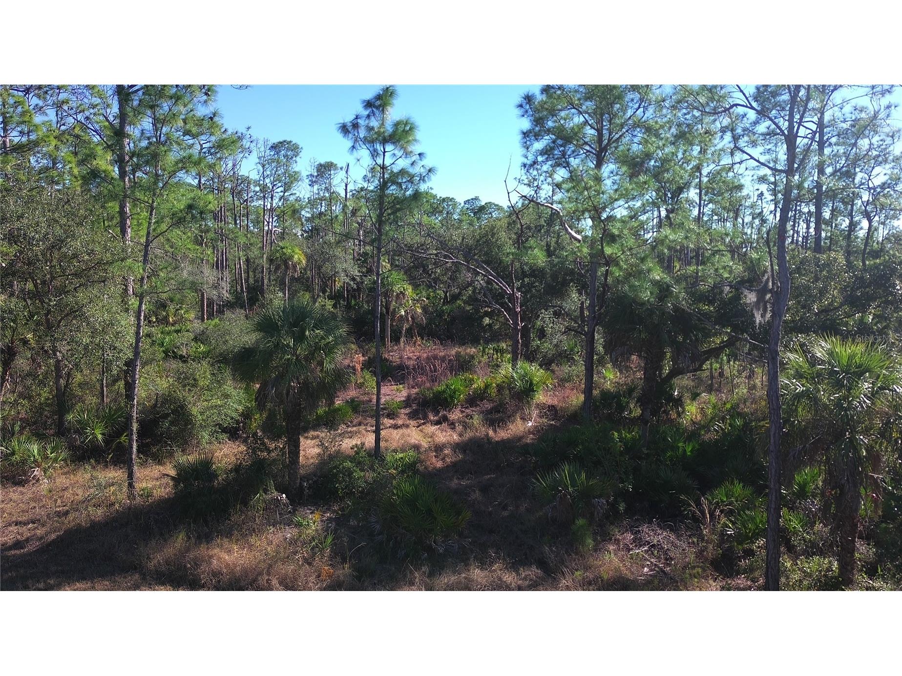 13093 Harbison Avenue Port Charlotte FL 33953 C7520249 image10