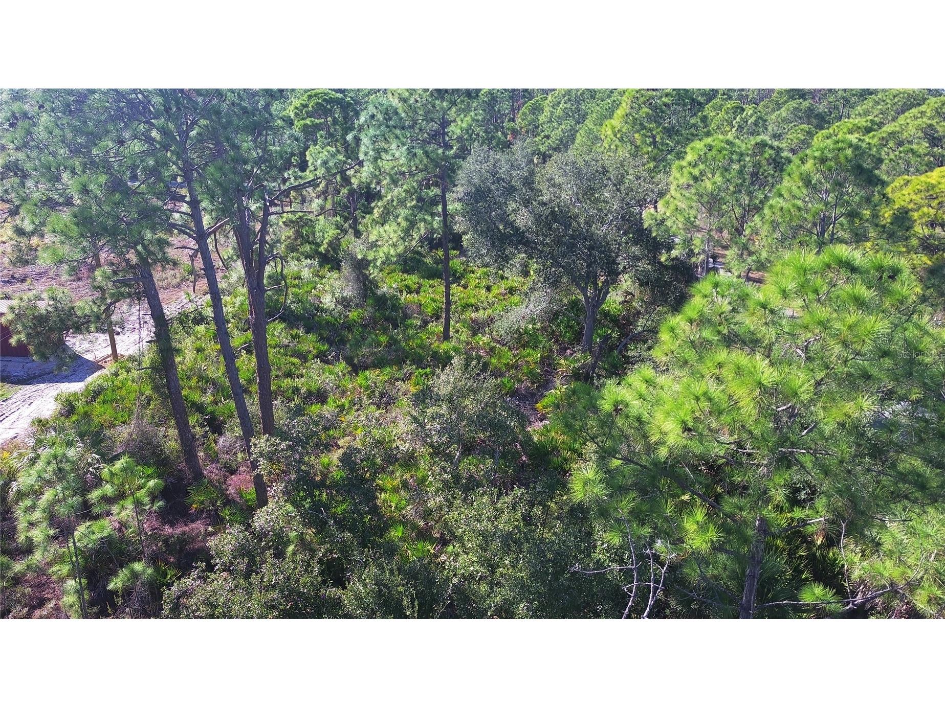 13093 Harbison Avenue Port Charlotte FL 33953 C7520249 image11